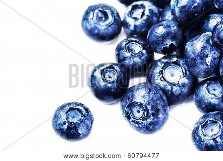Blueberries Isolated On White Background With Copy Space For Text, Close Up. Group Of Huge Blue Berr