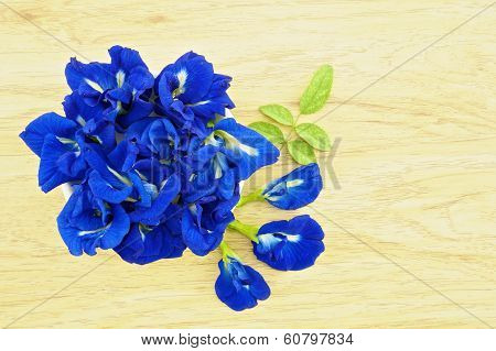 Asian Pigeonwings Or Clitoria Ternatea With Green Leafs In Cup
