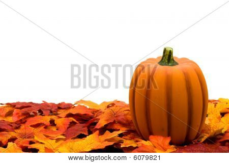 秋の紅葉