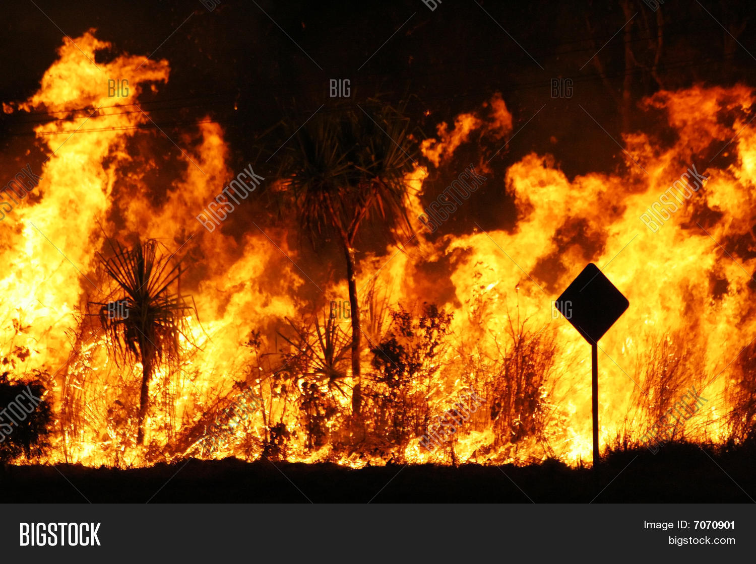Image Preview