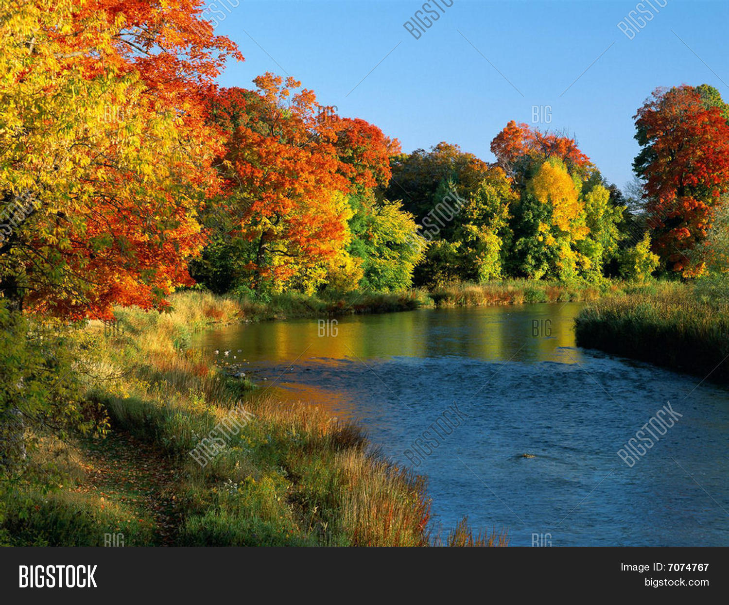 Image Preview