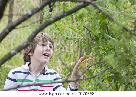 Young Boy Harvesting Green Peas