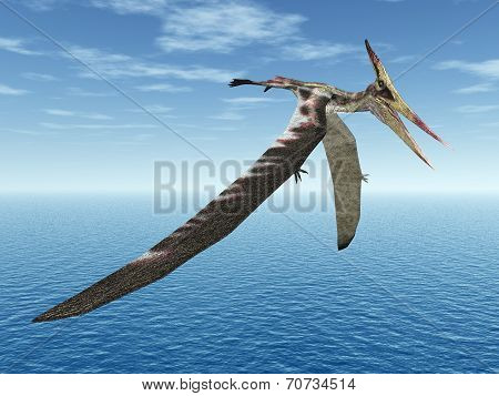 Pterosaur Pteranodon