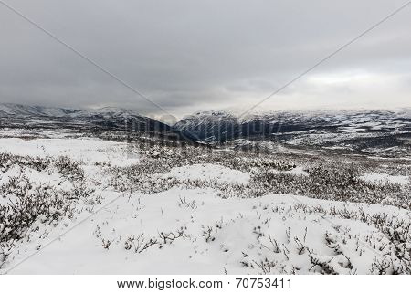 Winter National Park Dovrefjell