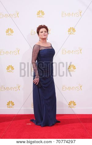 LOS ANGELES - AUG 25:  Kate Mulgrew at the 2014 Primetime Emmy Awards - Arrivals at Nokia Theater at LA Live on August 25, 2014 in Los Angeles, CA