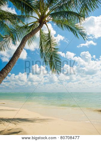 Tropical beach of Chaweng on Koh Samui island in Thailand