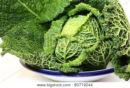 Fresh Cabbage From The Garden On The Plate In The Kitchen