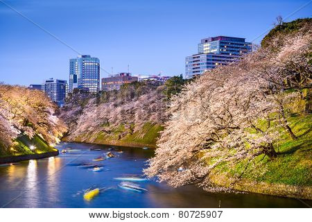 Tokyo, Japan at Chidorigafuchi Imperial Palace moat during the spring season.