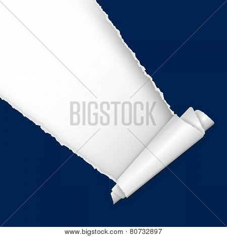 Torn Open Paper With Space For Text