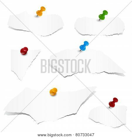 Collection - Scraps Of Paper With Pin