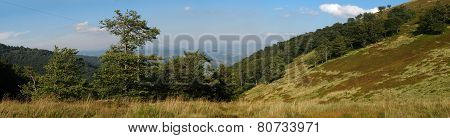 Panoramic view from the Carpathian mountain on the summer day