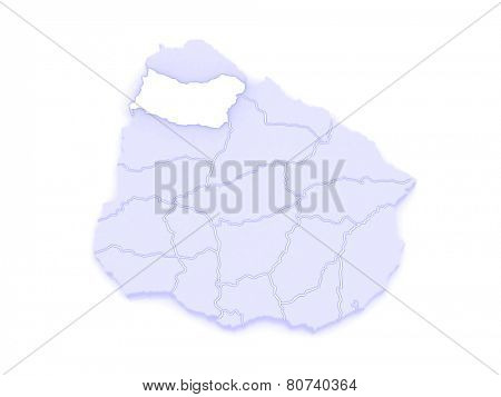 Map of Salto. Uruguay. 3d