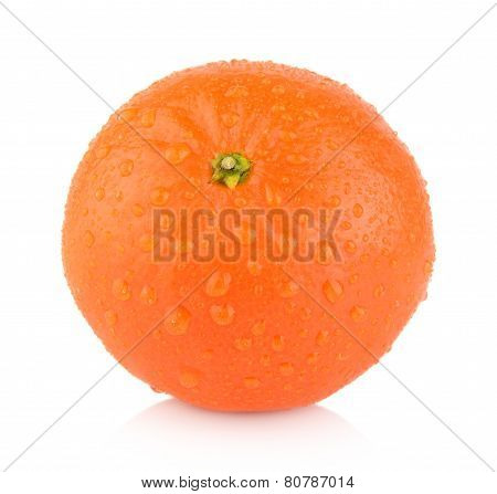 Studio Shot Wet One,single Mandarine Isolated On White