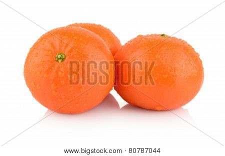 Studio Shot Dewy Few Mandarines Isolated On White