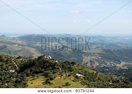 Spanish countryside, Gaucin.
