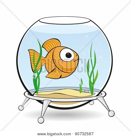 Gold Fish In Aquarium