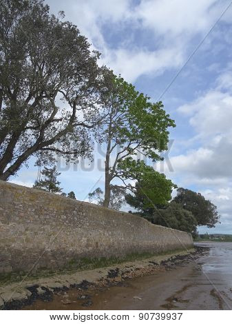 Tree Lined Wall And Beach Riverscape