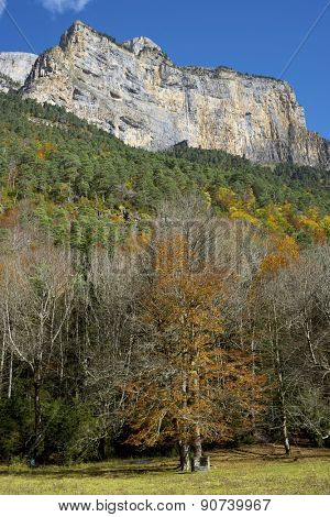 Libro Abierto Wall in the Pyrenees, Ordesa Valley National Park, Aragon, Huesca, Spain.