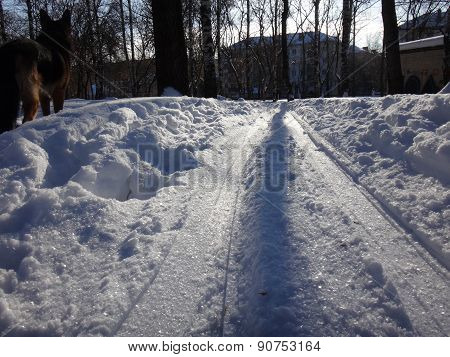 Winter road in the park wiht snow
