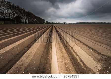 Plough Agriculture Field After Sowing