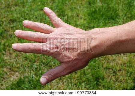 Men's Right Hand