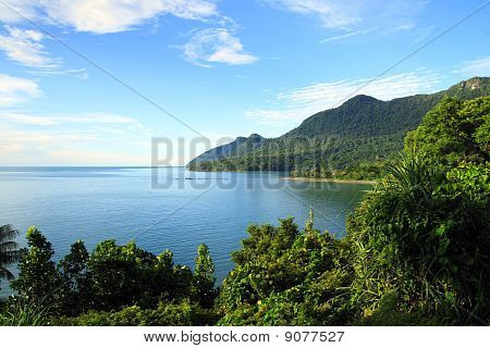 Kusten av Saravak. Borneo.