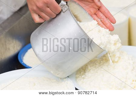 Craft Making Cheese