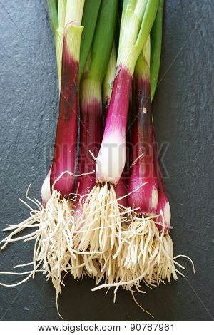 Fresh Red Spring Onions