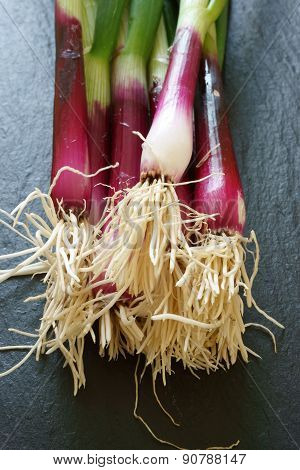 Close Up Of Red Scallions