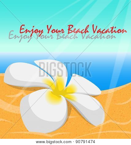 Summer beach
