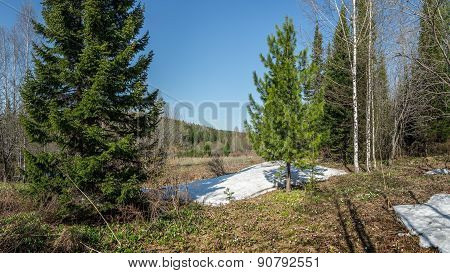 Contrasts Of Spring In The Mountains Of The Kuznetsky Alatau.