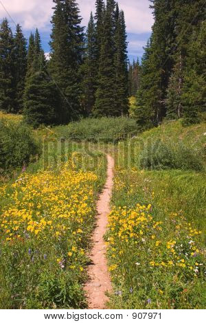 Splendida Mountain Trail