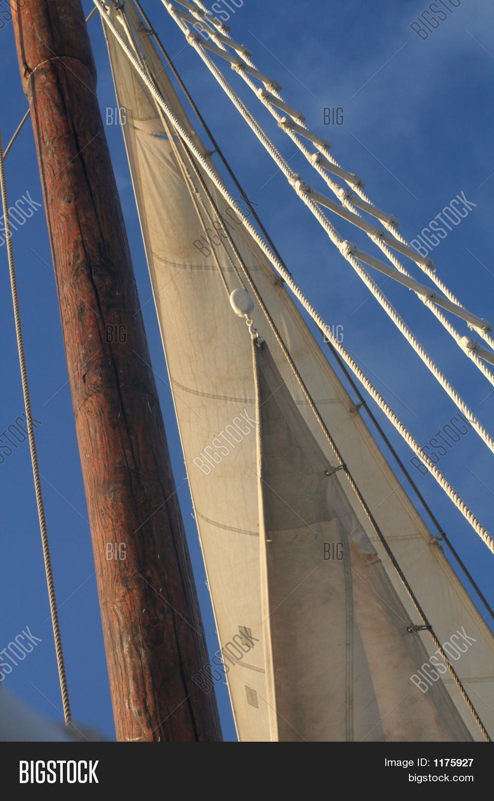 Image Preview