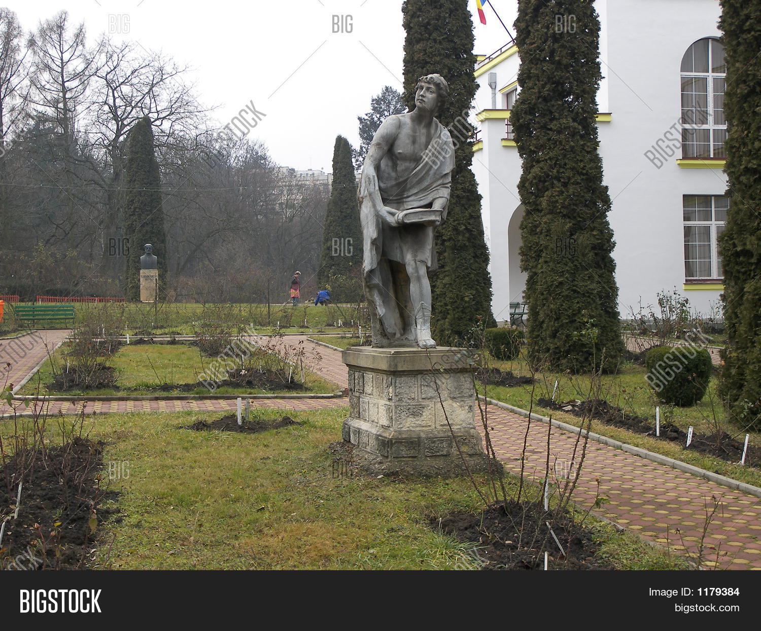 Image Preview