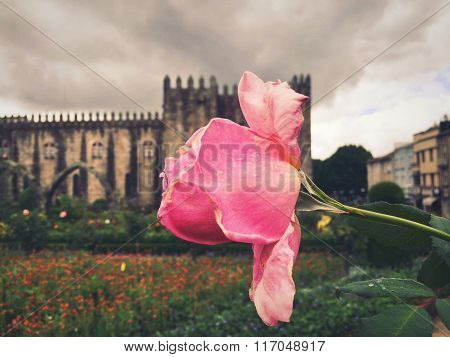Flor y el castillo.