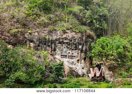 Lemo Is Cliffs Burial Site In Tana Toraja, South Sulawesi, Indonesia