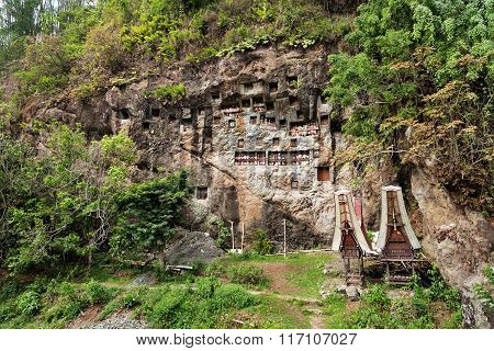 Lemo Is Cliffs Burial Site In Tana Toraja, South Sulawesi, Indonesia