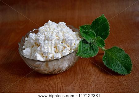 Mint And Cottage Cheese