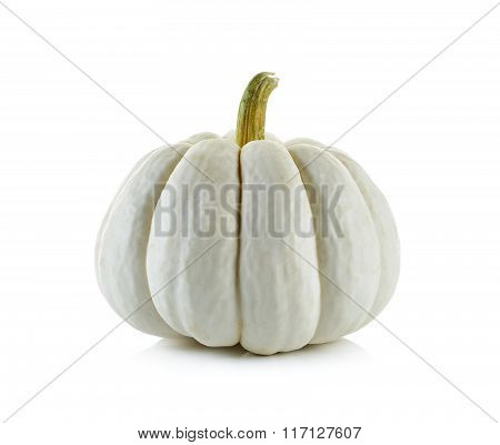 Pumpkin Isolated On The White Background
