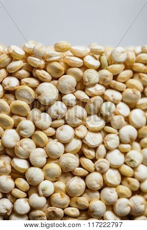 Quinoa grains