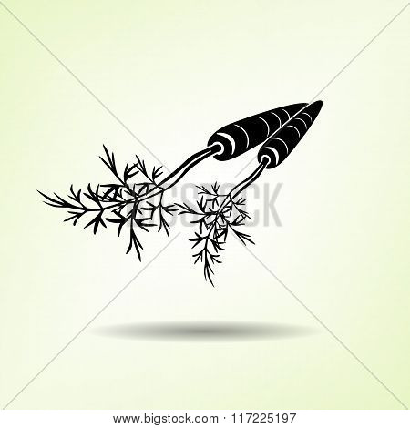 Carrot icon. Two vegetables, leaves. Black silhouette with shadow on light green backdround. Flat de