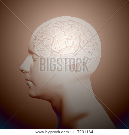 Abstract Human Head with a Brain.