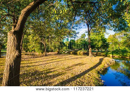 Beautiful Green Summer Park Garden With Blue Sky.