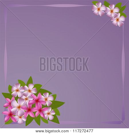 Postcard with bouquet of the plumeria