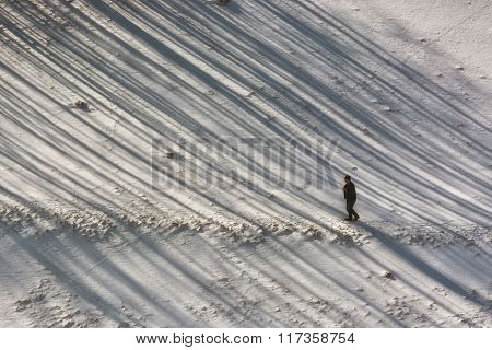 Stunning Alpine Landscape ,holbav,transylvania,romania,europe