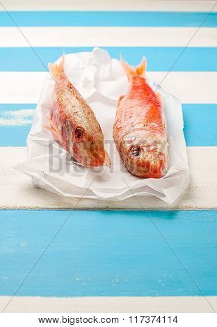 A Pair Of Fresh Red Mullets.