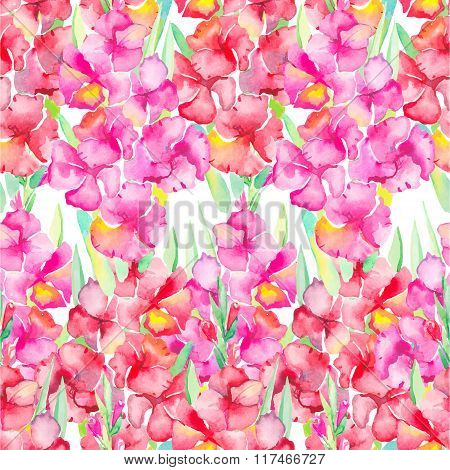 Gladiolus. Floral pattern.