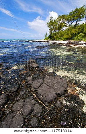 Blue Bay Foam  Of Deus Cocos In Mauritius