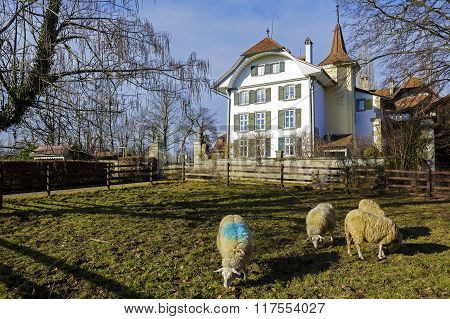 Wittigkofen Palace In Bern In Switzerland