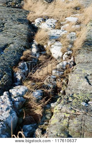 Quartz Vein